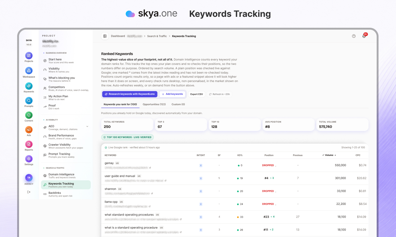 Skya keyword tracking dashboard